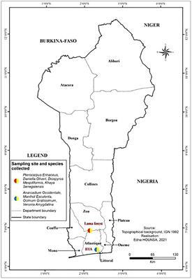 Fetotoxicity and Subacute Toxicity of Some Plants Involved in the Treatment of Infectious  Diarrhea in Benin
